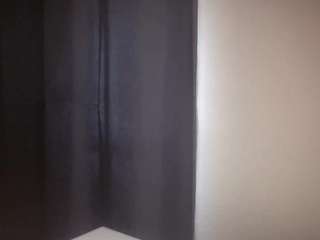 t1ger webcam model stream image