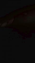 CriPriscilla webcam model stream image