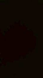 CriPriscilla webcam model stream image