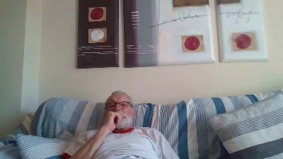 Leafars webcam model stream image