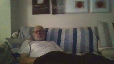 Leafars webcam model stream image