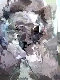 freakinsexy webcam model stream image