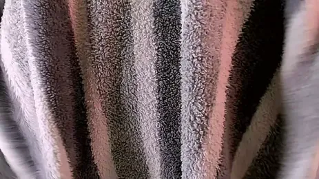 MsSecretVixen webcam preview