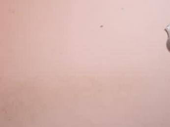 senssual_goddess webcam chaturbate model stream image