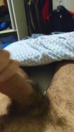 Vittosto webcam model stream image