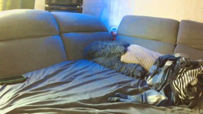 Sepp webcam model stream image