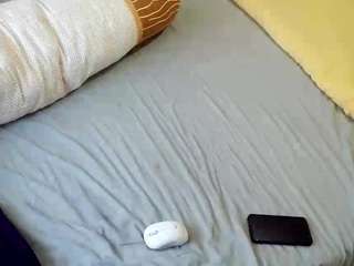 13bolpen webcam model stream image