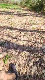 Legtiste webcam cam4 model stream image