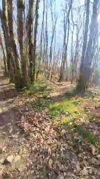 Legtiste webcam model stream image