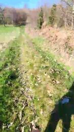 Legtiste webcam model stream image