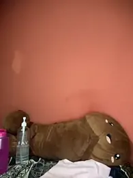 Eva-love12 webcam model stream image