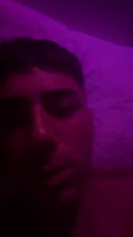 Bichito webcam model stream image