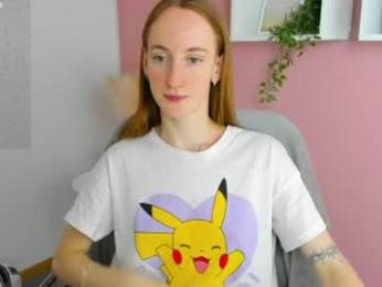 jaidii_ webcam model stream image