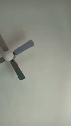 ertiofil webcam model stream image