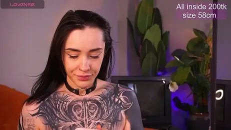 EvaCanton webcam model stream image