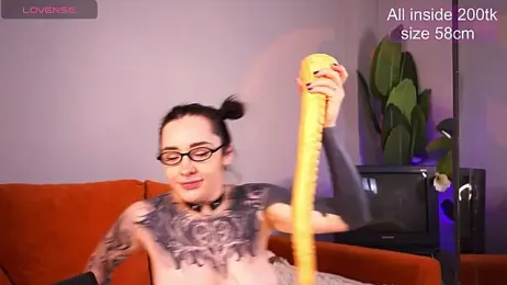 EvaCanton webcam model stream image