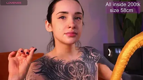 EvaCanton webcam model stream image