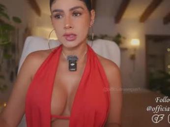 meegan1 webcam model stream image