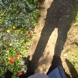 topman_____ webcam model stream image