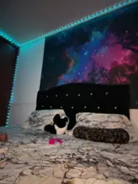 RoughDiamond_ webcam model stream image