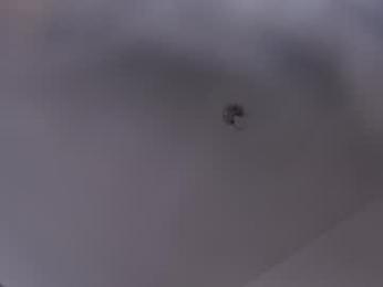 emily_____ webcam model stream image