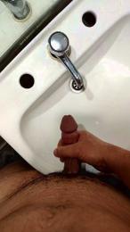 Pijapija8_Porin webcam model stream image