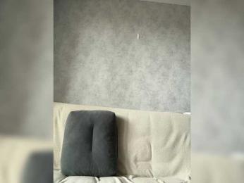 apple15promax webcam model stream image