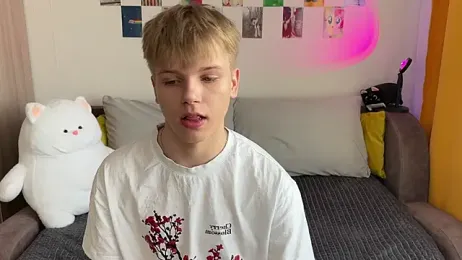 metarion webcam model stream image