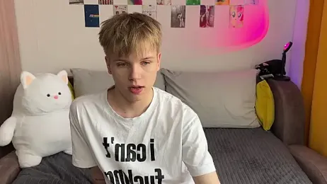 metarion webcam model stream image