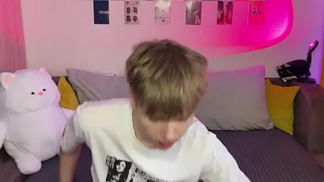 metarion webcam model stream image