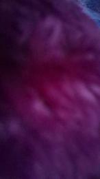 Daisy747 webcam model stream image