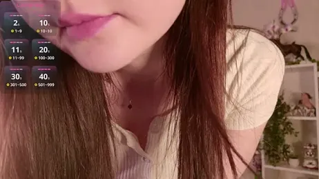 LeraKit webcam model stream image