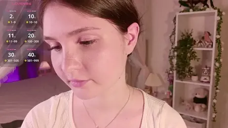 LeraKit webcam model stream image