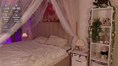 LeraKit webcam model stream image