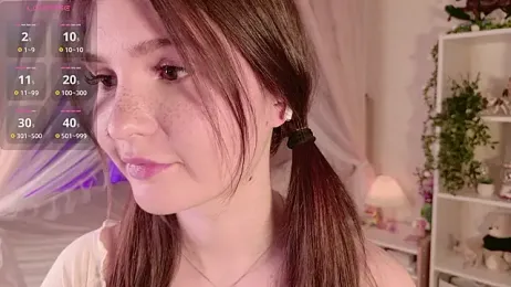 LeraKit webcam model stream image