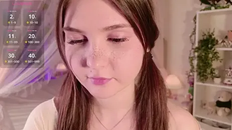 LeraKit webcam model stream image