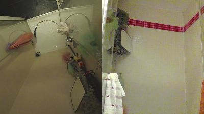 TJ_Mackey webcam model stream image