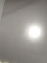 Danzel1105 webcam model stream image