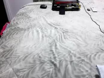 laylabrasil webcam model stream image