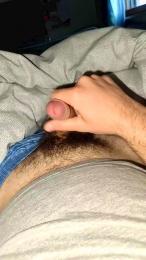 Stan9341 webcam model stream image