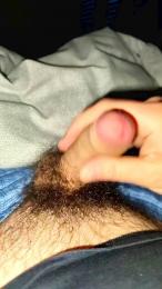 Stan9341 webcam model stream image