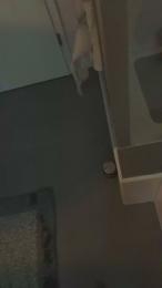 GeilerSack65 webcam model stream image