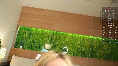 TierraCheck webcam model stream image