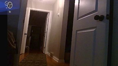 StudlyHardwood webcam model stream image