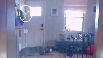 StudlyHardwood webcam model stream image