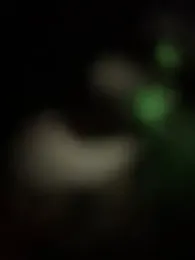 blonde_exe webcam model stream image