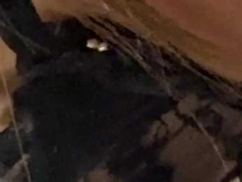 AliceElfy webcam model stream image