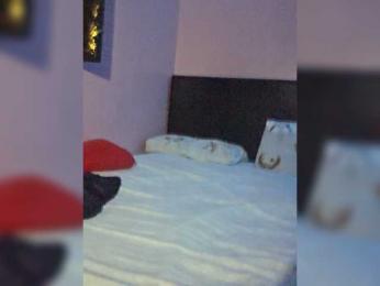 ElaGeo webcam preview