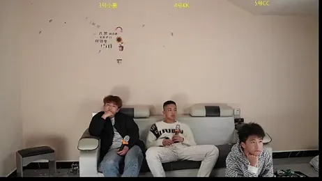 zc002 webcam model stream image