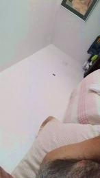 Zioroby webcam model stream image